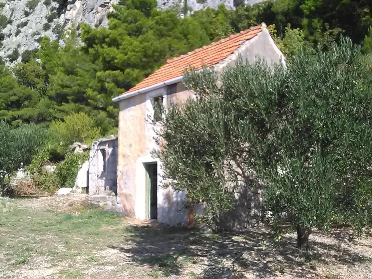 Zorana Mimice Exterior foto